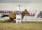 La Rosa Stefano_Gold Apple